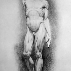 Drawing In The High Art School book - pencil man ecorche 02