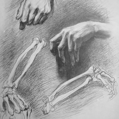 Drawing In The High Art School book - pencil arm anatomy