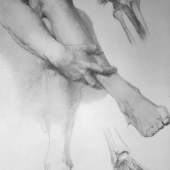 Drawing In The High Art School book - pencil leg anatomy 01