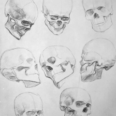 Drawing In The High Art School book - pencil skull draft
