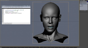 Fixed 3d model of the Veda's head after applied maxscript code snippet