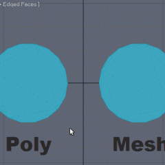 What is the difference between Poly from the Mesh object in 3ds max?